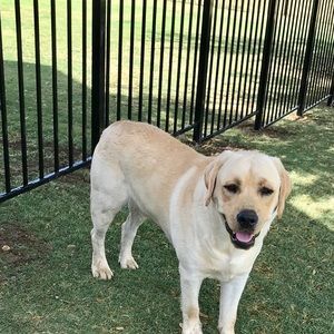 Meet your Posher, Cody